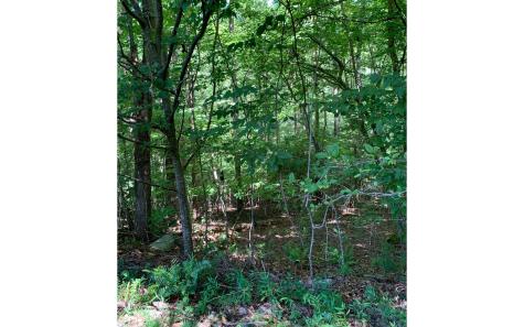 LOT21 Bryant Cove Road Blairsville GA 30512