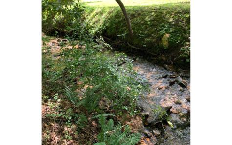 LOT21 Bryant Cove Road Blairsville GA 30512