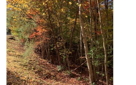 LOT21 Bryant Cove Road Blairsville GA 30512