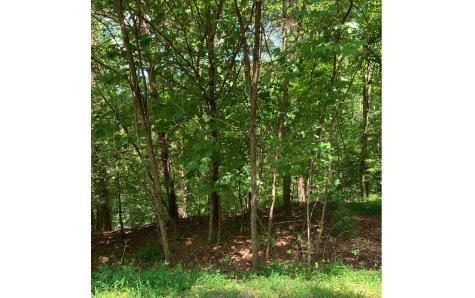 LOT21 Bryant Cove Road Blairsville GA 30512