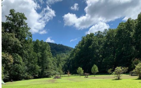 LOT21 Bryant Cove Road Blairsville GA 30512