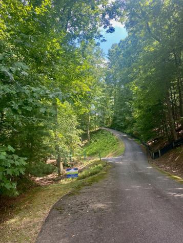 LOT21 Bryant Cove Road Blairsville GA 30512