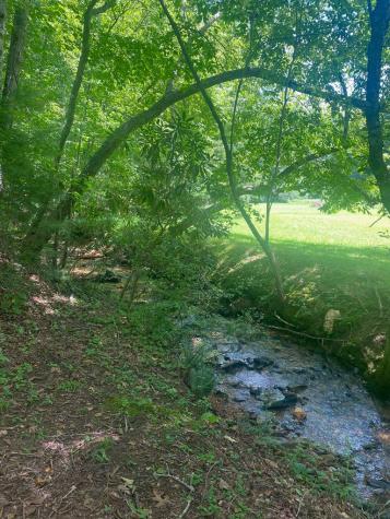 LOT21 Bryant Cove Road Blairsville GA 30512