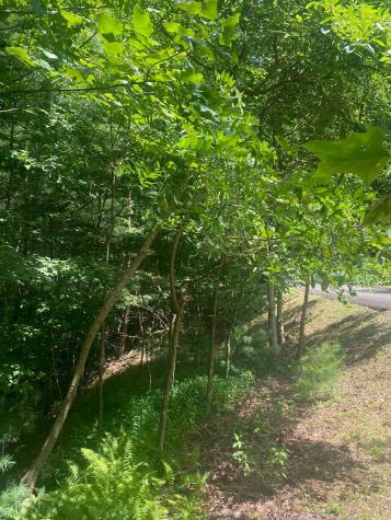 LOT21 Bryant Cove Road Blairsville GA 30512