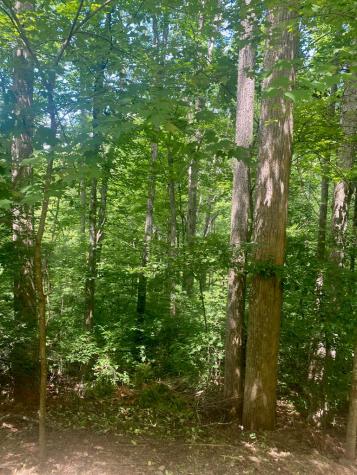 LOT21 Bryant Cove Road Blairsville GA 30512
