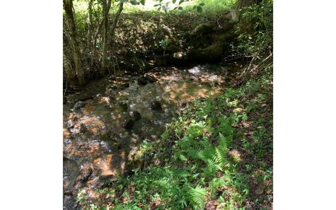 LOT21 Bryant Cove Road Blairsville GA 30512