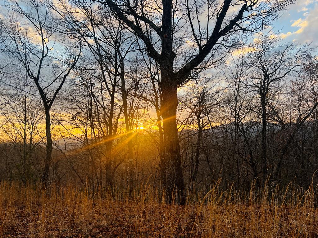 00 Aster Trail Marble NC 28905
