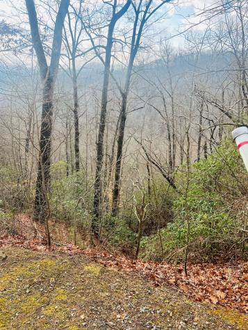 00 Aster Trail Marble NC 28905