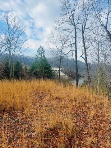 00 Aster Trail Marble NC 28905