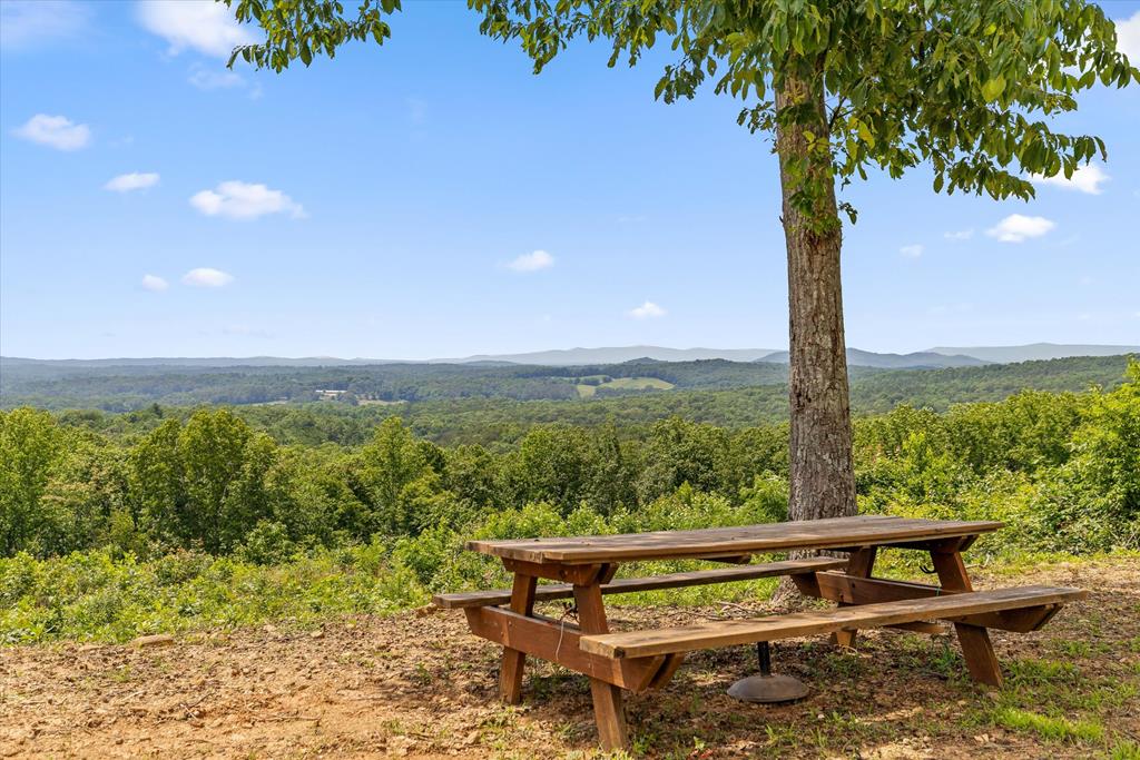 Lot 108 Twisted Oak Road Talking Rock GA 30175