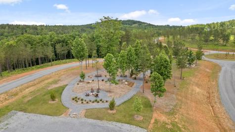 Lot 108 Twisted Oak Road Talking Rock GA 30175