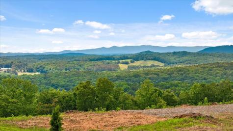 Lot 108 Twisted Oak Road Talking Rock GA 30175