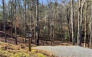 Lot #116 Jakes Landing Overlook Ellijay GA 30540