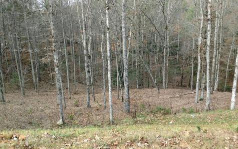 Lot #116 Jakes Landing Overlook Ellijay GA 30540