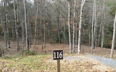 Lot #116 Jakes Landing Overlook Ellijay GA 30540