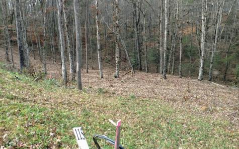 Lot #116 Jakes Landing Overlook Ellijay GA 30540