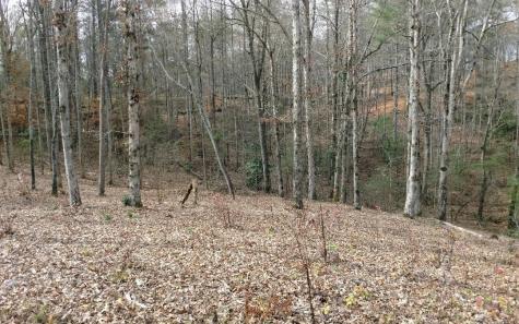 Lot #116 Jakes Landing Overlook Ellijay GA 30540