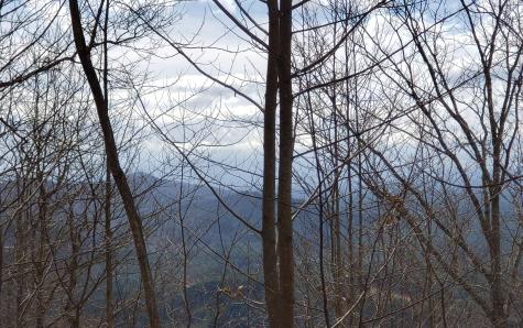 Lt 35 Calvender Road Turtletown TN 37317