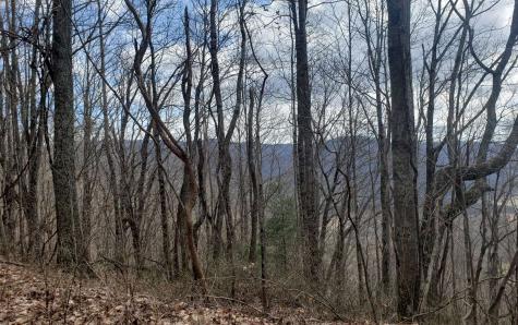 Lt 35 Calvender Road Turtletown TN 37317