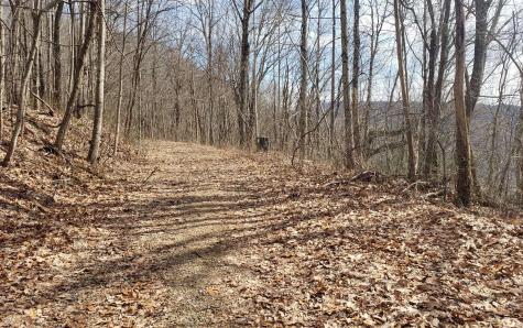 Lt 35 Calvender Road Turtletown TN 37317