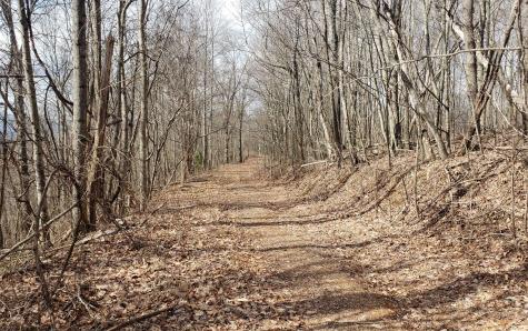 Lt 35 Calvender Road Turtletown TN 37317