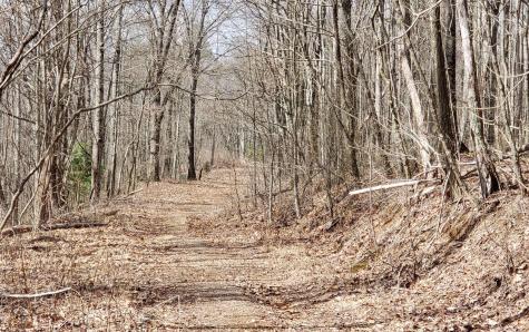 Lt 35 Calvender Road Turtletown TN 37317