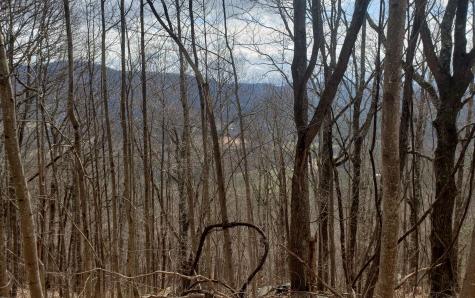 Lt 35 Calvender Road Turtletown TN 37317