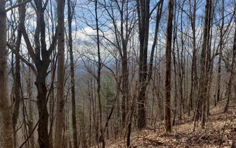 Lt 35 Calvender Road Turtletown TN 37317