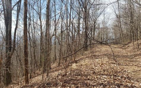 Lt 35 Calvender Road Turtletown TN 37317