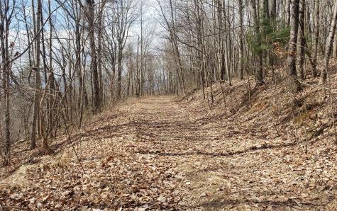 Lt 35 Calvender Road Turtletown TN 37317