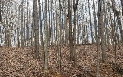 Lt 35 Calvender Road Turtletown TN 37317