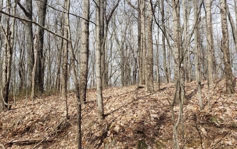 Lt 35 Calvender Road Turtletown TN 37317