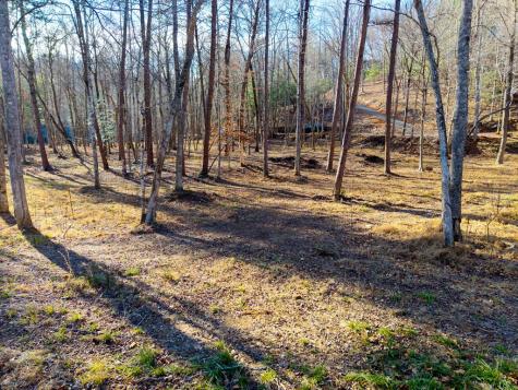 16.08 River Run Way Hayesville NC 28904