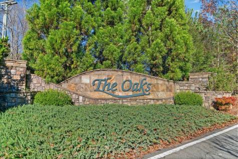 Lot 113 Oak Valley Court Ellijay GA 30540