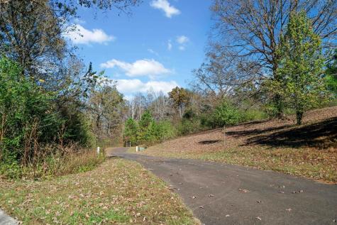 Lot 113 Oak Valley Court Ellijay GA 30540