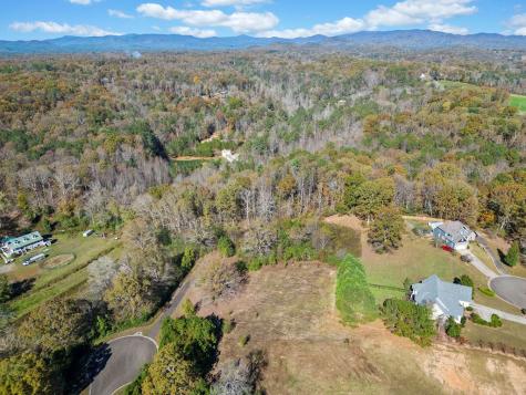 Lot 113 Oak Valley Court Ellijay GA 30540
