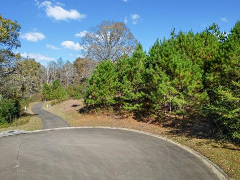 Lot 113 Oak Valley Court Ellijay GA 30540