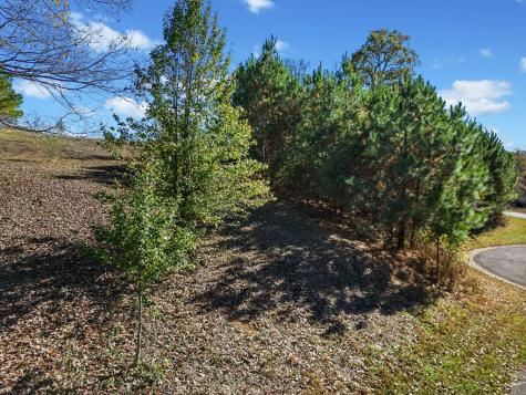 Lot 113 Oak Valley Court Ellijay GA 30540