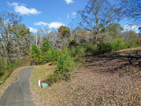 Lot 113 Oak Valley Court Ellijay GA 30540