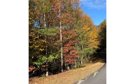 LOT22 Bryant Cove Road Blairsville GA 30512