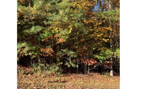 LOT22 Bryant Cove Road Blairsville GA 30512