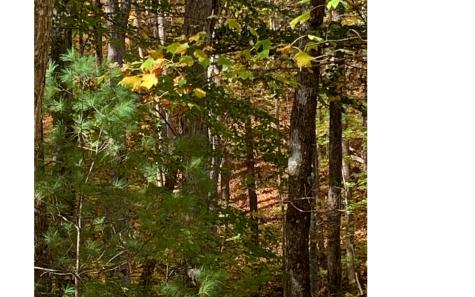 LOT22 Bryant Cove Road Blairsville GA 30512