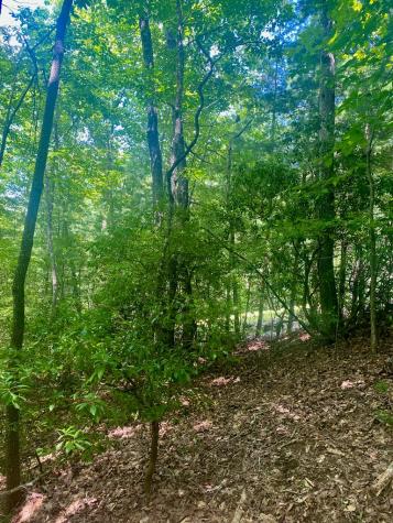 LOT22 Bryant Cove Road Blairsville GA 30512