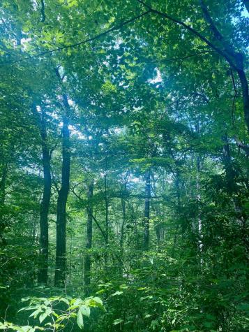 LOT22 Bryant Cove Road Blairsville GA 30512