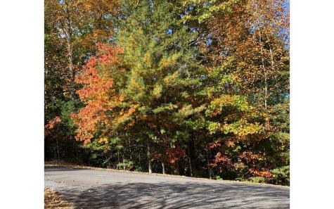 LOT22 Bryant Cove Road Blairsville GA 30512