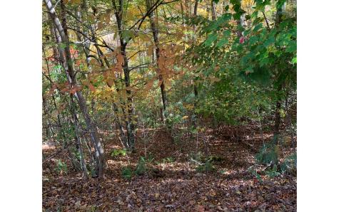 LOT22 Bryant Cove Road Blairsville GA 30512