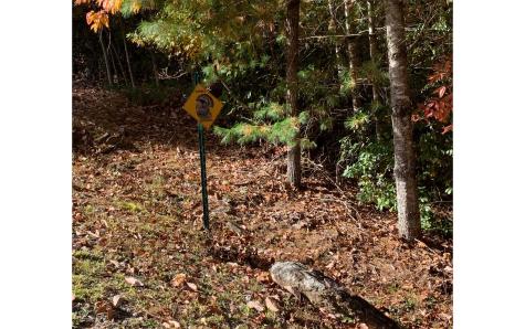 LOT22 Bryant Cove Road Blairsville GA 30512