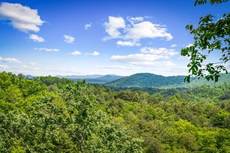 Lt 379 Dream Catcher Blue Ridge GA 30513