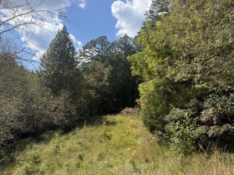 00 Valley Lake Trail Mineral Bluff GA 30559