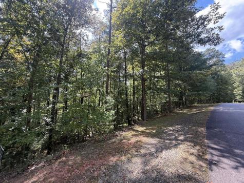 00 Valley Lake Trail Mineral Bluff GA 30559